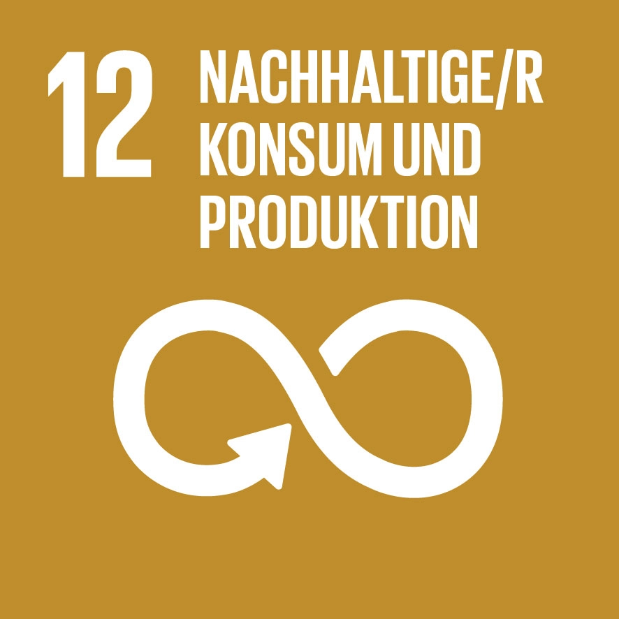 12. Nachhaltiger Konsum und Produktion