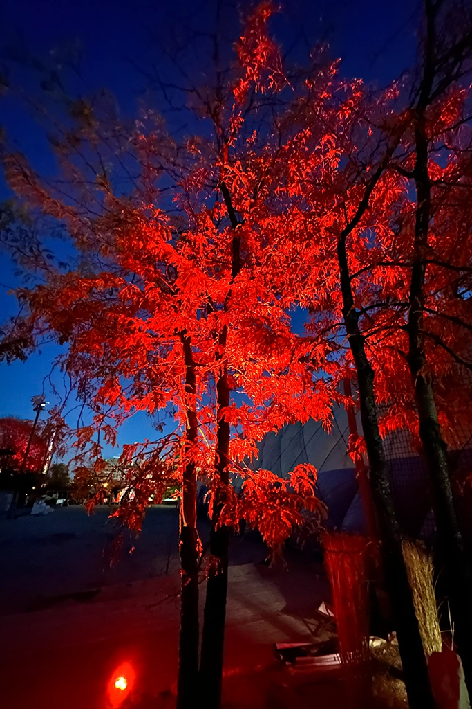 bm_adventure golf_wintergallerie_5